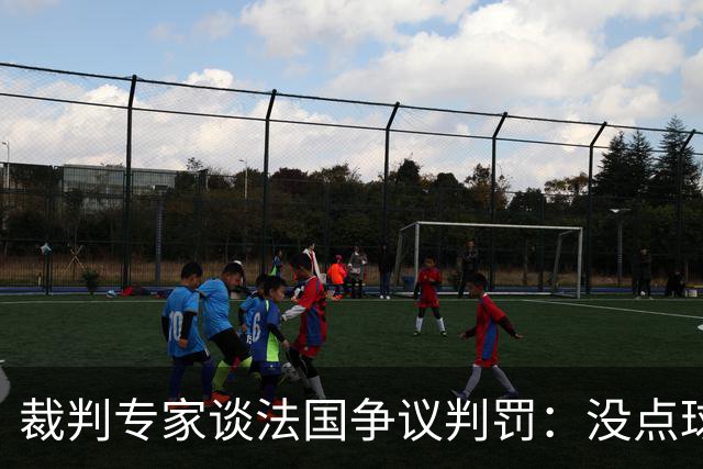 裁判专家谈法国争议判罚：没点球是对的 姆巴佩被轻轻碰了就倒地